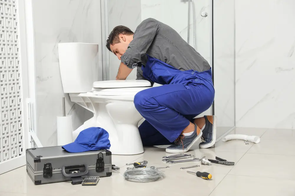 Toilet Repair in The Crossings